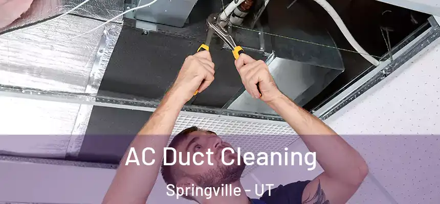  AC Duct Cleaning Springville - UT