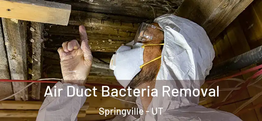  Air Duct Bacteria Removal Springville - UT
