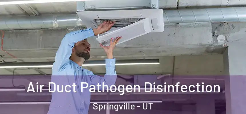 Air Duct Pathogen Disinfection Springville - UT