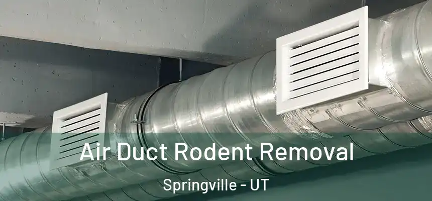  Air Duct Rodent Removal Springville - UT