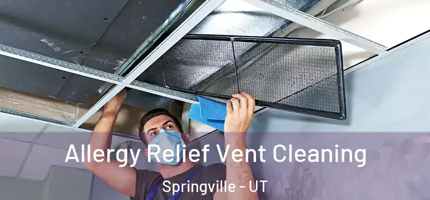  Allergy Relief Vent Cleaning Springville - UT