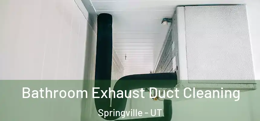  Bathroom Exhaust Duct Cleaning Springville - UT