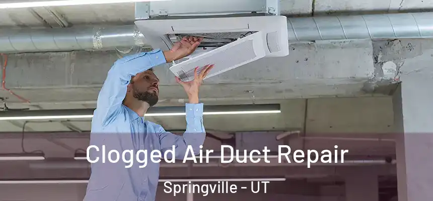  Clogged Air Duct Repair Springville - UT