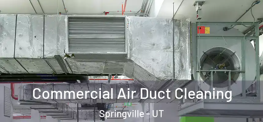 Commercial Air Duct Cleaning Springville - UT