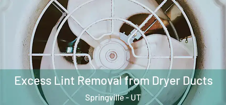  Excess Lint Removal from Dryer Ducts Springville - UT