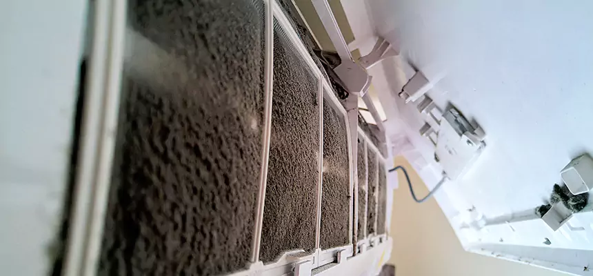 Preventive Air Duct Bacteria Removal in Springville