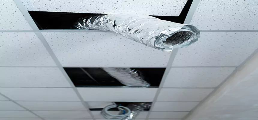 Our Air Duct Pet Hair Removal Services in Springville, UT