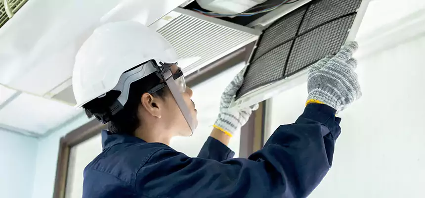 Our Mold & Mildew Removal from Air Ducts Services in Springville, UT