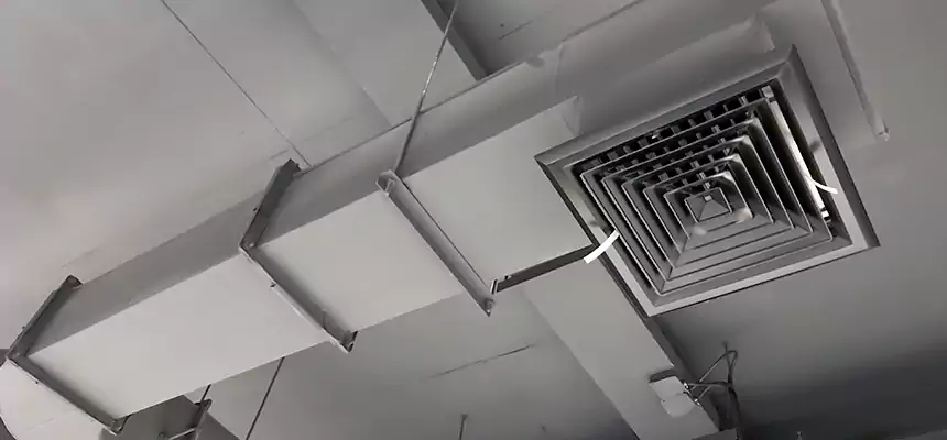 Our Pest Removal From Ducts Services in Springville, UT