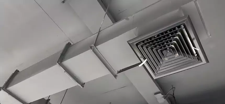 Our Rodent Droppings In Vents Services in Springville, UT