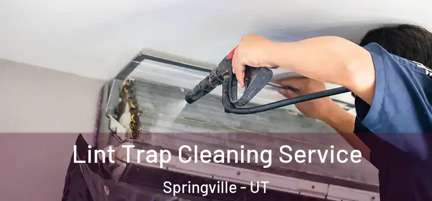  Lint Trap Cleaning Service Springville - UT