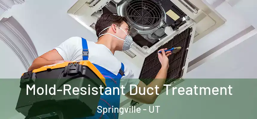  Mold-Resistant Duct Treatment Springville - UT