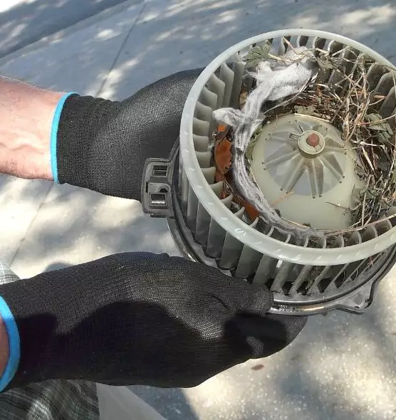 About Air Duct Mice Removal in Springville, UT