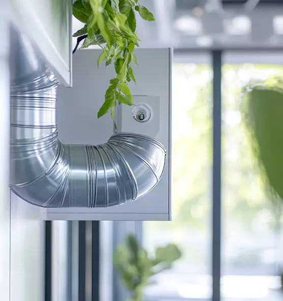 Professional Eco-Safe Dryer Vent Cleaning in Springville, UT