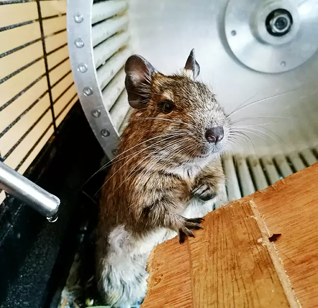 Why Homeowners & Businesses Trust Us Springville, UT