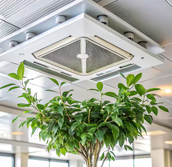 Why Homeowners & Businesses Trust Us in Springville, UT?