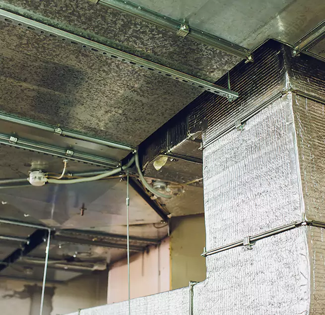 Why Homeowners & Businesses Trust Us in Springville, UT?