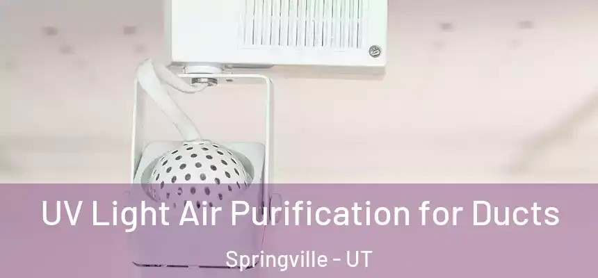  UV Light Air Purification for Ducts Springville - UT