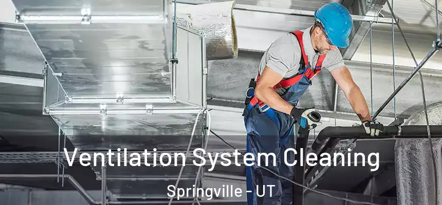  Ventilation System Cleaning Springville - UT